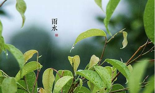 二十四节气雨水含义_二十四节气雨水气候特点